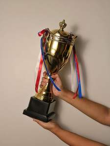 Trofeo de Metal Personalizado de Diseño Indio para Celebración de Logros Laborales y Reconocimiento Anual de Éxito, al por Mayor - Product Image 5