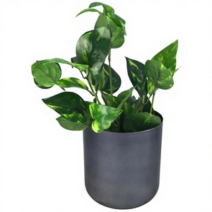 Macetero de Hierro de Alta Calidad con Acabado Cromado, Diseño Redondo Colorido, Estilo Americano, para Uso en Interiores/Exteriores, en Escritorio o Suelo - Product Image 1