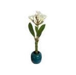 Fleurs de frangipanier tendance en gros durables, accessoires de décoration intérieure de luxe modernes - Product Image 1