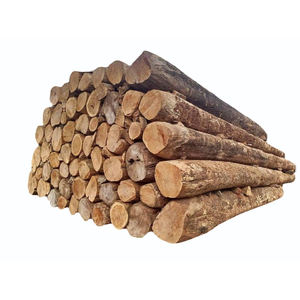 <b>Eco</b> friendly sustainable <b>log</b> wood timber for furniture construction industrial use wholesale exporter - Product Image 3