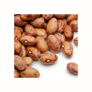 Haricots Pinto de la meilleure qualité en gros, à vendre à prix avantageux - Product Image 3