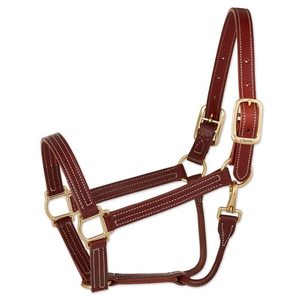 Cabestro de Cuero Marrón Acolchado Personalizado de Primera Calidad, Ajustable, con Costuras Duraderas, Hebillas Metálicas Cómodas - Product Image 1