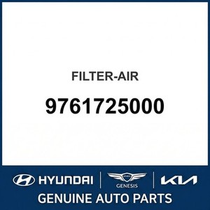 แอคเซนท์ ไนท์ นิว แอร์ ฟิลเตอร์ส 9761725000 - Product Image 1