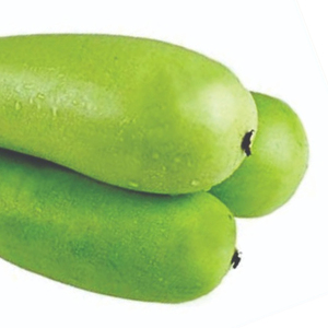 Courge en bouteille saine, légume frais, récolte verte, ingrédient culinaire, produit agricole de qualité, vente en gros, approvisionnement en vrac, exportation fraîche - Product Image 5