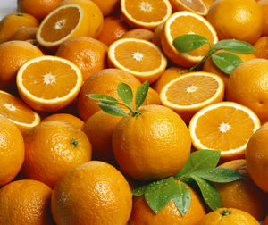 Venta Directa de Fábrica al Por Mayor a Precio Competitivo, Naranjas Navel Frescas Enteras / Naranjas Valencia en Venta con la Mejor Oferta de Descuento - Product Image 1