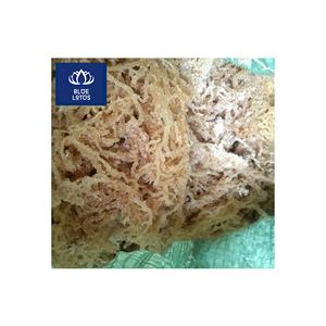 Disponible : Algues Marines Séchées Écologiques, Sûres et Propres, Idéales pour la Fabrication de Gels et les Boissons – Prix Direct Usine - Product Image 1