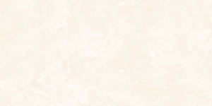 Azulejos de Cerámica con Acabado Pulido Modelo 1014-L 300x600mm - Product Image 1