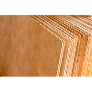 Arserwood 3/4 pulgadas Contrachapado CDX de 5 capas, tratado a presión, resistente al fuego, para interiores, de 4 pies x 8 pies. - Product Image 5