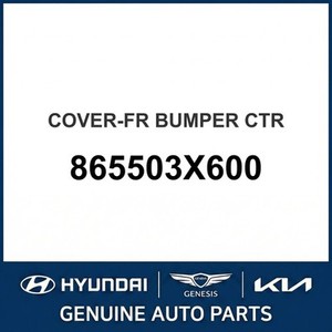 Parachoques y Refuerzos Nuevos para Elantra 865503X600 - Product Image 1