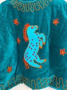 Vêtement d'extérieur pour femme en velours turquoise artisanal de qualité supérieure, motif équestre brodé, vintage, manches longues, automne - Product Image 5