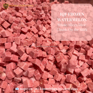 Pastèque Sucrée Congelée en Cubes, Format Bloc, pour Jus et Transformation Alimentaire, Conditionnement en Vrac - Product Image 2