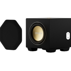 ลำโพงซับวูฟเฟอร์คู่ขนาด 12 นิ้ว รุ่นใหม่ DRAGON Home Surround Sound แบบพกพา รับประกัน 2 ปี รองรับ OBM OEM ODM ปรับแต่งได้ พร้อมจัดส่ง - Product Image 2