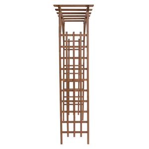 Arco da Giardino Marrone Scuro Bello e Pratico, Facilmente Assemblabile, Cancello per Piante Rampicanti Codice 43529880 - Product Image 1