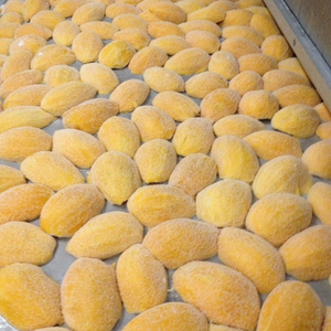 Mangues surgelées IQF de qualité supérieure, origine Vietnam, pour une cuisine quotidienne nutritive et la fabrication de confitures, par 99 Gold Data - Product Image 4