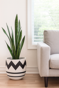 Pots de jardinière succulentes en céramique ronds minimalistes décoration de jardin à la maison traditionnelle - Product Image 2