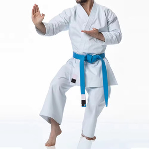 Uniforme de Karate Unisex Woosung, Aprobado por la WKF, Estilo Kendo, Logotipo Personalizado, Kimono de Artes Marciales, Karate, Jiu Jitsu - Product Image 1