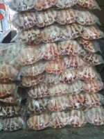 Coquilles de crabe polies les plus vendues pour la pâte de crabe et les plats de fruits de mer, prêtes à l'emploi, durée de conservation de 2 ans, export Vietnam, Viet Delta Co. LTD