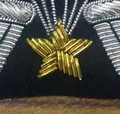 Patch brodé en dentelle argentée fait main sur mesure avec motif aile en fil métallique PU, applique écologique pour blazers et vestes - Product Image 6