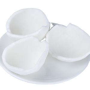 Carne de Coco Joven Congelada al por Mayor a Granel de Vietnam con Calidad Superior - Product Image 1