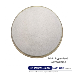 Polvo de Jugo de Sandía Premium de Alta Calidad, Halal, OEM, B2B, Mejor Proveedor Garantizado, Bebida Refrescante e Hidratante - Product Image 6