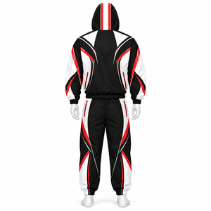 Conjunto deportivo informal personalizado, conjunto ligero de nailon cortavientos, conjunto deportivo de dos piezas de alta calidad, conjunto deportivo de otoño para hombre - Product Image 3