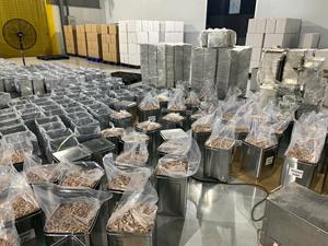 Oferta Especial, Precio Competitivo al por Mayor, Nueces de Anacardo Orgánicas Tostadas y Secas - Caja de 10 kg, Envase a Granel en Lata, Fábrica de Vietnam - Product Image 6