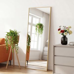 Specchio a Figura Intera Infrangibile 65"x24" con Cornice Dorata Fatta a Mano per Ingresso - Product Image 1