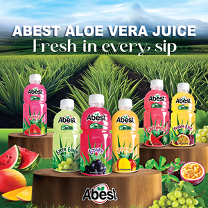 Jus de fruits aromatisé à l'aloe vera et à la pastèque verte, faible en glucides, bouteille PET 500ml, OEM, marque privée - Product Image 5