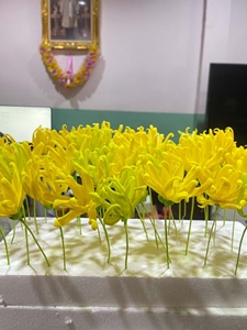 ดอกไม้ดินเหนียวจำลองรูปดอกกระดังงา งานฝีมือไทยทำมือ สำหรับตกแต่ง - Product Image 5