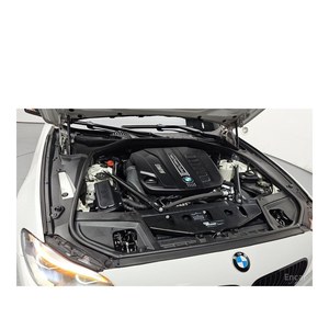 BMW Serie 5 530d XDrive M 2016 con Características Aerodinámicas, Volante a la Izquierda, Caja de Cambios Automática, Norma de Emisiones Euro V, 88,683 km - Product Image 6