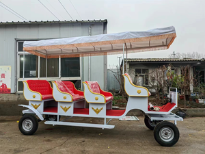 Tourisme Tourisme Chevaux Européens Charrettes Wagon Transport <span class=keywords><strong>Mariage</strong></span> Calèche Électrique - Product Image 5