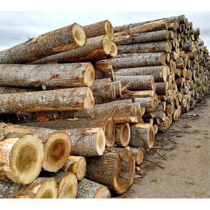 Bois de chauffage de qualité supérieure séché au four : Chêne et hêtre, en vente. Bois mélangés (chêne, frêne, pin, bouleau) avec matériau à changement de phase. - Product Image 3