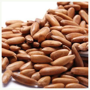 Noix de pin bio en vrac, pas cher, non décortiquées - Product Image 5