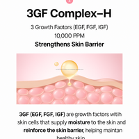 Sérum Ampoule Booster Cutané Coréen Avancé PDRN Niacinamide Peptide ADN de Saumon Hydratant Visage Éclat Raffermissant Estampage Or