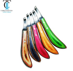 Cuchillo para Pezuñas de Caballo, Acero Inoxidable, Herramienta para Recortar Pezuñas, Instrumento Profesional para el Cuidado Equino, TARIQ CRAFTED INDUSTRIES - Product Image 5