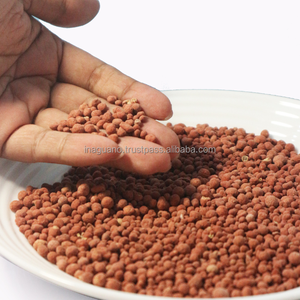 Vente chaude NPK 15.15.15 Engrais granulaire de bonne qualité Votre plante nutritionnelle Fabriqué en Indonésie - Product Image 4