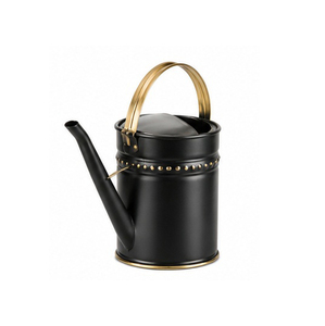 Arrosoir en métal noir avec poignée et bordure dorées, pour jardinage extérieur, finition peinte durable - Product Image 1