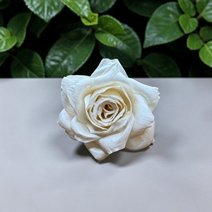 Flores de Madera Sola VADEE, Hechas a Mano, Sostenibles, de Madera de Rosa Sola, Tamaño 8.5 CM, Varilla de Fibra Vegetal de Sesbania VDXXX-078 TH - Product Image 1