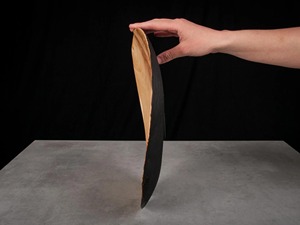 Eco Friendly Nordic Plant Pattern Wood <b>Serving</b> Plate & Dinnerware <b>Set</b> Oven Safe Dishwasher Safe - Product Image 2
