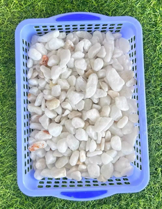 Piedras y Grava Natural Blanca Ecológica en Oferta para Decoración de Jardines y Paisajismo de Villas Modernas - Product Image 5