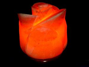 Vente en gros 100% lampes au sel pur de l'Himalaya de haute qualité sculptées et polies styles pyramidaux et bol artisanat naturel décoratif - Product Image 4