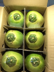 SUMINISTRO A GRANEL-COCOS FRESCOS vietnamitas/FRUTAS DE COCO-BRIX 5-7% - Product Image 2