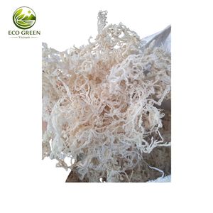 Organic Irish <b>Moss</b> <b>Dried</b> Sea <b>Moss</b> Wildcrafted Natural Seaweed Bulk Wholesale for Smoothie Gel Cosmetic Ingredient - Product Image 1
