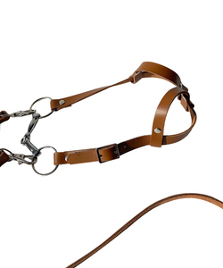 Brida Profesional para Caballo, Cabezada Acolchada de Cuero Suave, Correa de Nariz Ajustable, Hebillas Resistentes, Equipo de Equitación para Uso Diario - Product Image 4