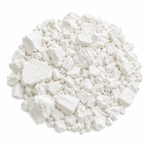 Poudre de bambou (Bambusa Arundinacea) – Ingrédient végétal de qualité supérieure - Product Image 5