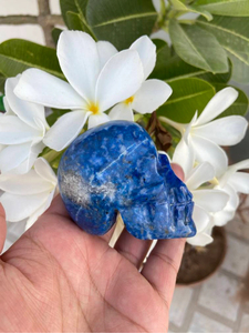 Calavera de Lapislázuli Natural Tallada a Mano |   Escultura de Calavera de Cristal con Gema Azul |   Proveedor Mayorista de Decoración Gótica - Product Image 3
