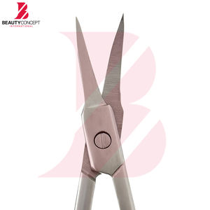 Ciseaux de manucure professionnels en acier inoxydable 2026 – Meilleur produit – Outil de toilettage à pointe droite pour la coupe des ongles et des cuticules - Product Image 4