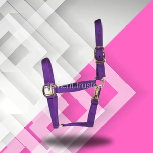 เชือกม้าขี่ม้าออสเตรเลียเชือกแขวนคออุปกรณ์เสริม3ชั้นสายไนลอนแคนปุระวัสดุพีพีอินเดีย - Product Image 6