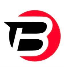 BLUEBELL INDUSTRIES logo