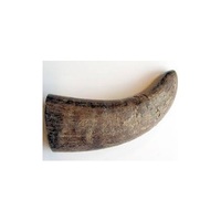 Embouts en corne de buffle de haute qualité, artisanat naturel du Vietnam pour la décoration de poignées de porte